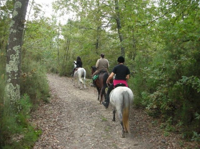  entre senderos verdes 